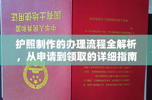 米东护照制作的办理流程全解析，从申请到领取的详细指南